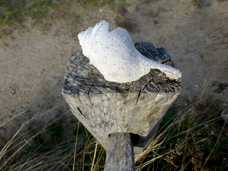 shellpost