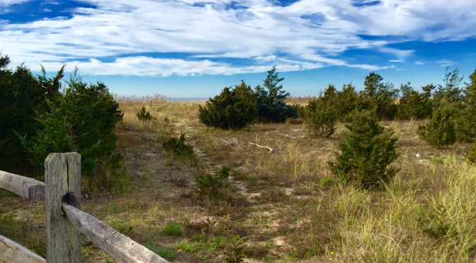 Beautiful Day For A Walk At Cape Cod Bay