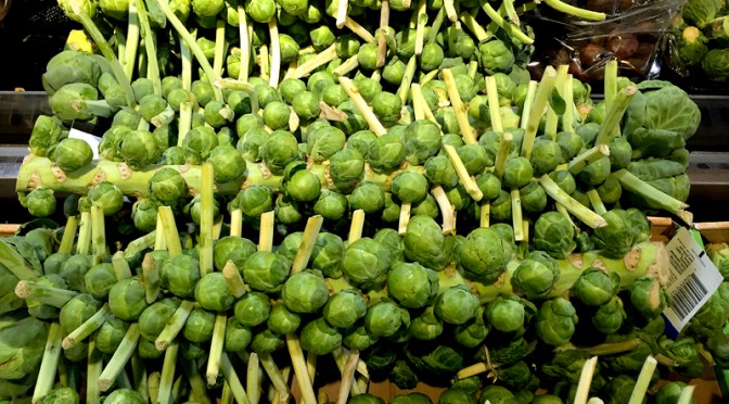 Do You Know How Brussel Sprouts Grow?