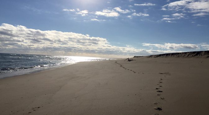 Footprints In The Sand At Coast Guard Beach On Cape Cod