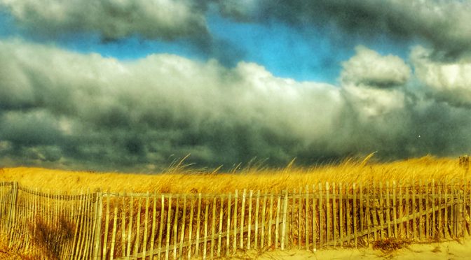 Love That Beach Fence At Nauset Beach In Orleans On Cape Cod