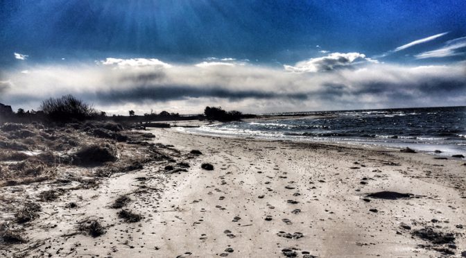 A Cold Winter Day At Boat Meadow Beach On Cape Cod Bay