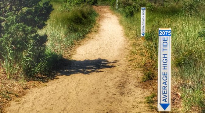 New High Tide Markers At The Wellfleet Bay Wildlife Sanctuary On Cape Cod