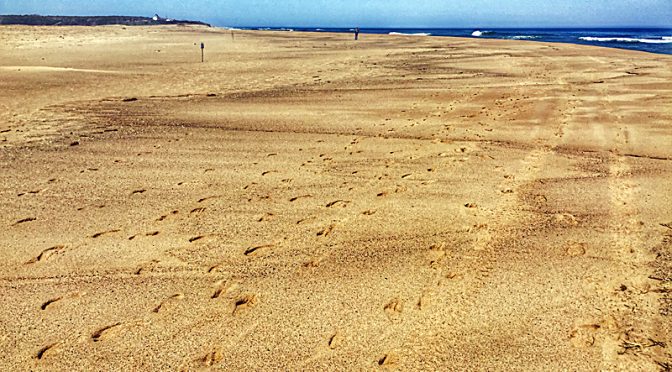 Coast Guard Beach By Nauset Spit On Cape Cod