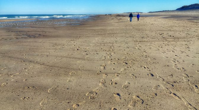 Nauset Beach At Low Tide On Cape Cod