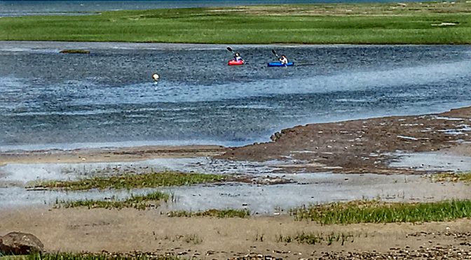It’s Kayaking Time At Boat Meadow On Cape Cod!