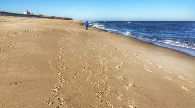 Yesterday Was Gorgeous On Coast Guard Beach On Cape Cod!
