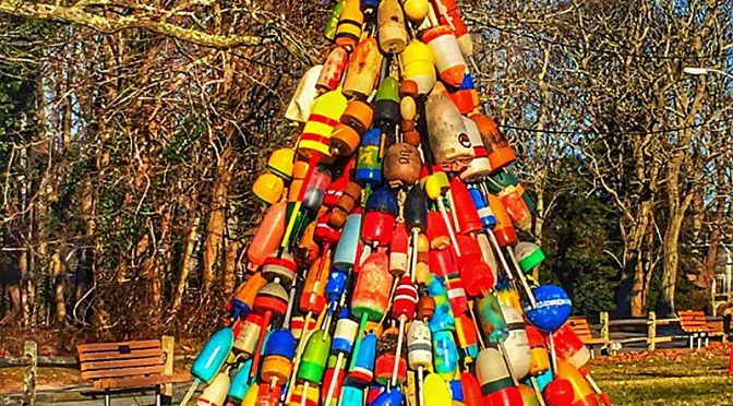 An Authentic Cape Cod Christmas Tree!