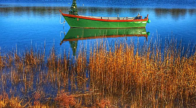 Holiday Boat On Salt Pond In Eastham On Cape Cod.