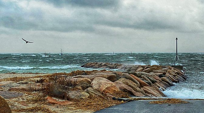 Stormy Cape Cod Bay At Rock Harbor Yesterday!