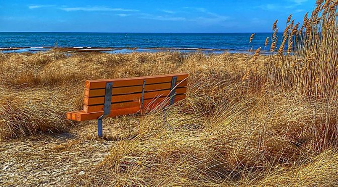 Another Perfect Bench On Cape Cod Bay.