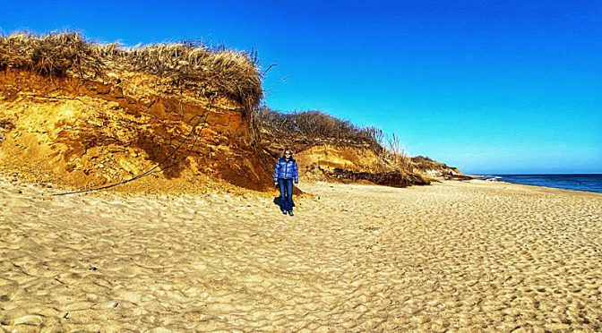 The Changing Dunes At Coast Guard Beach On Cape Cod.