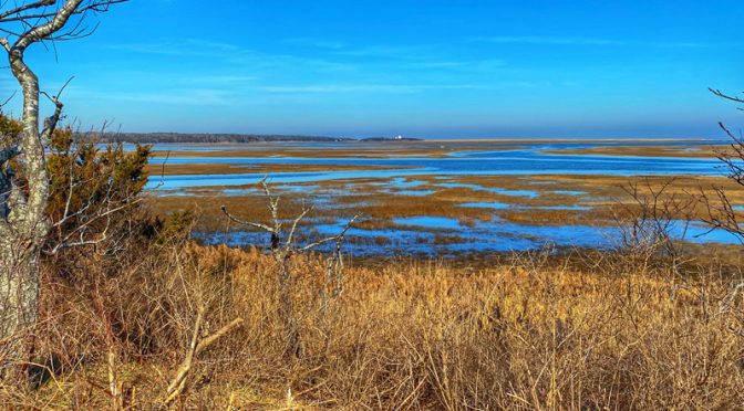 Nauset Marsh From Fort Hill On Cape Cod.
