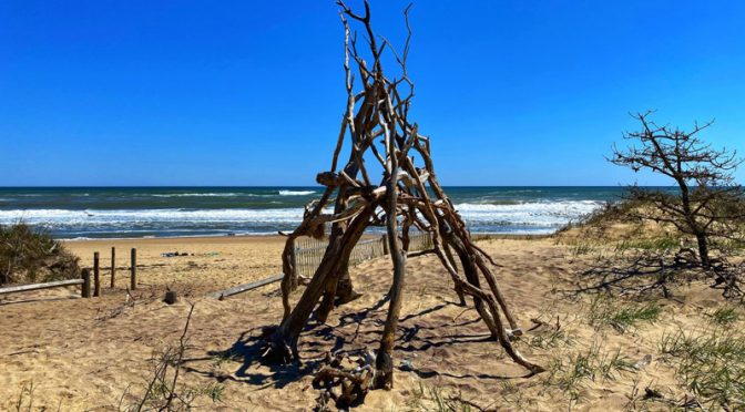 Interesting Free-Form Sculptures At Nauset Light Beach On Cape Cod.