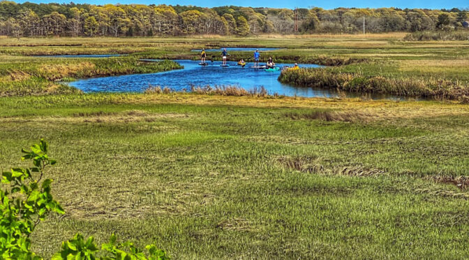 The Kayakers And SUPs Were Out Yesterday On The Salt Marsh On Cape Cod!