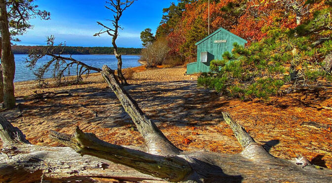 Gorgeous Fall Day At Nickerson State Park On Cape Cod.