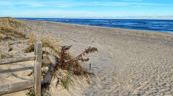 Tranquility At Nauset Beach On Cape Cod.