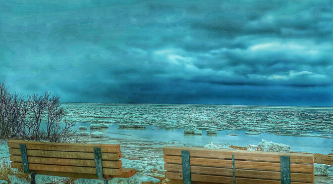 A Chilly Bench On Cape Cod Bay.