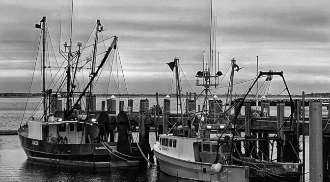 Black And White Photograph At Wellfleet Harbor On Cape Cod.