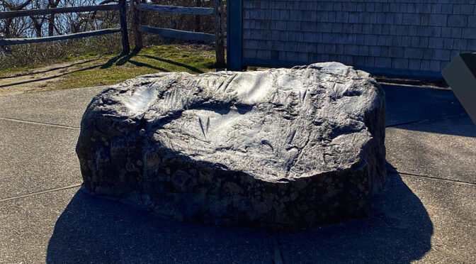 Indian Rock At Fort Hill On Cape Cod.