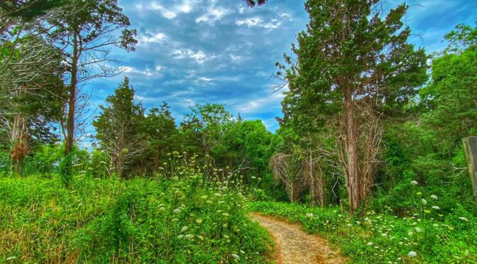 Hikes For Everyone At Fort Hill On Cape Cod!