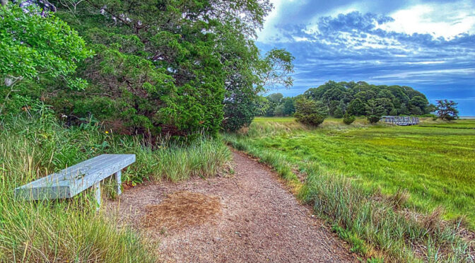 Love This Bench On The Nauset Marsh Trail On Cape Cod.