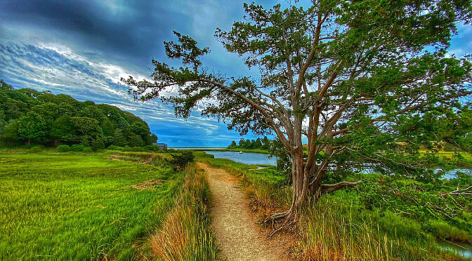 Beautiful View From Nauset Marsh Trail On Cape Cod.