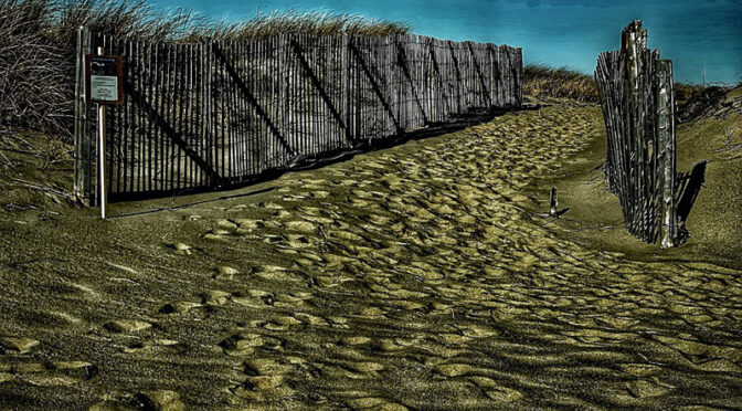 Iconic Cape Cod Beach Fence