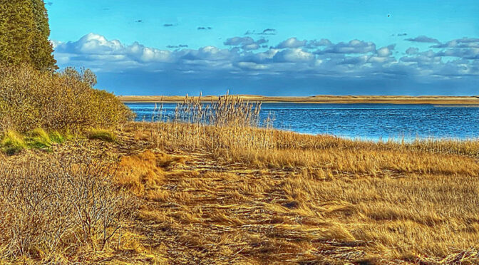 Make Your Own “First Day Hike Of 2023” On Cape Cod.