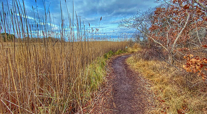 Bay View Trail At The Wellfleet Bay Wildlife Sanctuary On Cape Cod .