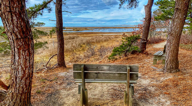 Another Perfect Bench In Wellfleet On Cape Cod.