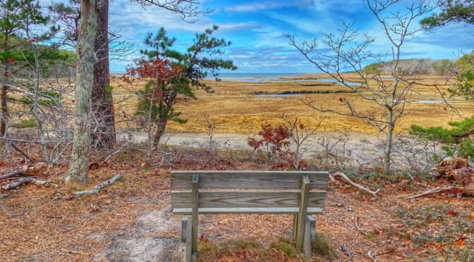 Bayview Trail At The Wellfleet Bay Wildlife Sanctuary On Cape Cod.