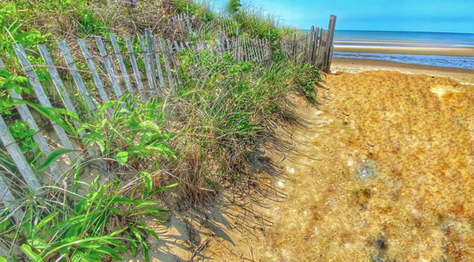 Always Love These Iconic Cape Cod Beach Fences.