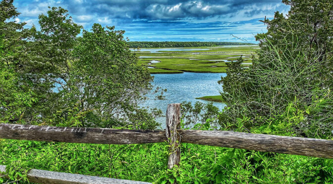 Nauset Marsh Through The Trees At Fort Hill On Cape Cod.