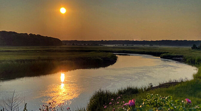 Pretty Early Morning Reflection On The Salt Marsh On Cape Cod.