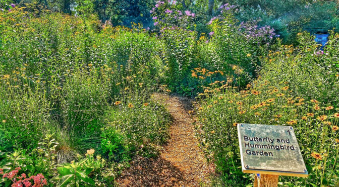 The Butterfly And Hummingbird Garden At The Wellfleet Bay Wildlife Sanctuary On Cape Cod.