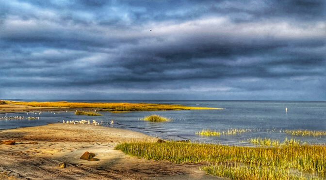 Gorgeous Morning At Boat Meadow Beach On Cape Cod.