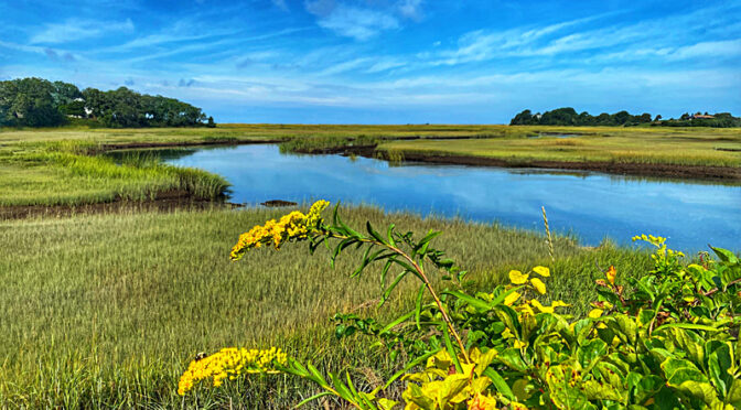 Beautiful View Of The Salt Marsh On Cape Cod.