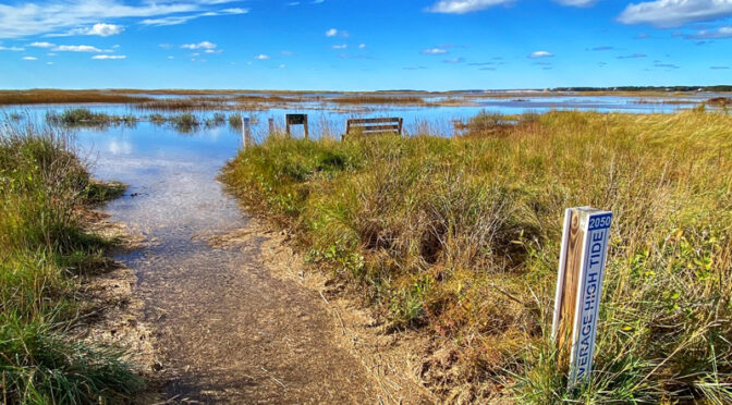 Very High Tides At The Wellfleet Bay Wildlife Sanctuary On Cape Cod.
