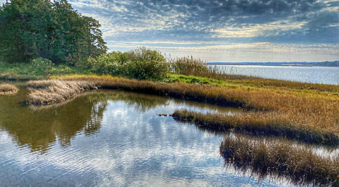 Beautiful Reflection On The Nauset Marsh Trail On Cape Cod.
