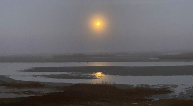 Gorgeous Moon On A Very Foggy Morning At Boat Meadow Beach On Cape Cod.