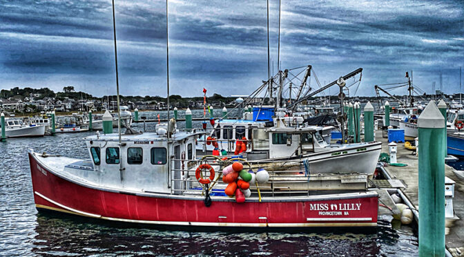 Miss Lilly In Provincetown Harbor On Cape Cod.