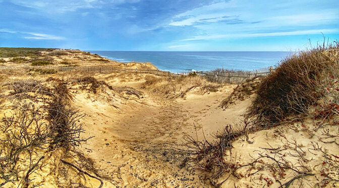 Trail Through The Dunes On Cape Cod.