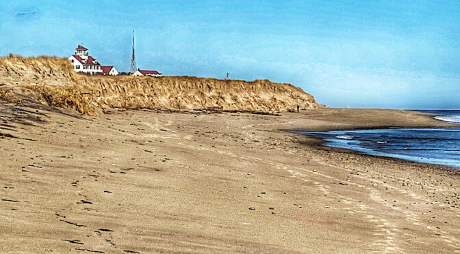 The Dunes Have Grown On Coast Guard Beach On Cape Cod.