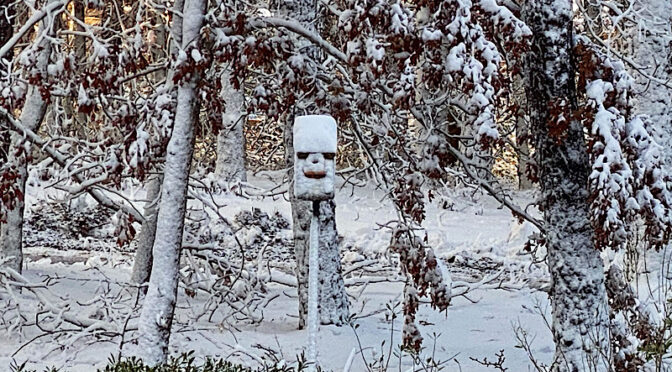 What’s That Looking At Me After The Big Snowstorm On Cape Cod?