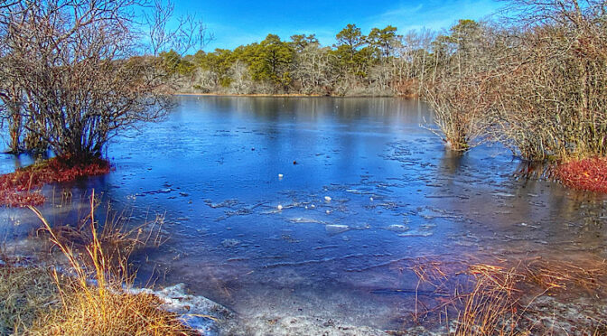 Still A Bit Of Ice On The Pond At Beech Forest Trail In Provincetown On Cape Cod.