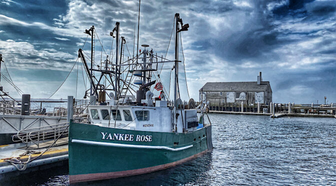 The Yankee Rose At MacMillan Pier In Provincetown On Cape Cod.