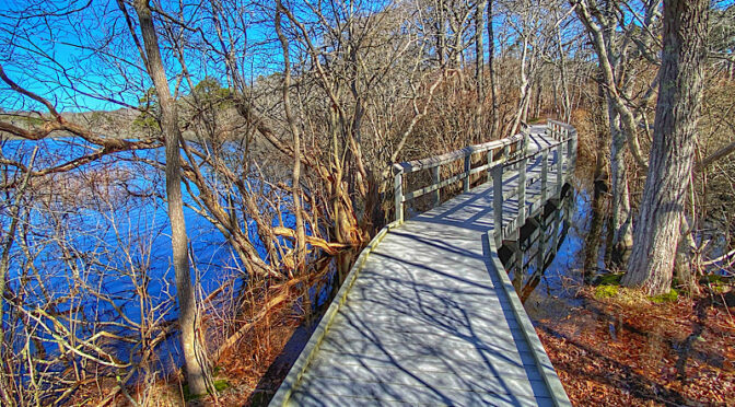 The Boardwalks On The Beech Forest Trail In Provincetown On Cape Cod.